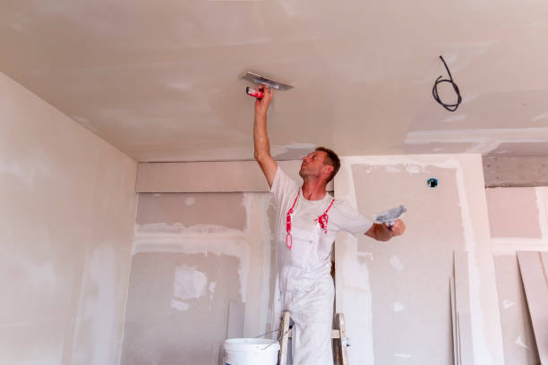 Best Painting for New Construction  in Norwalk, CA